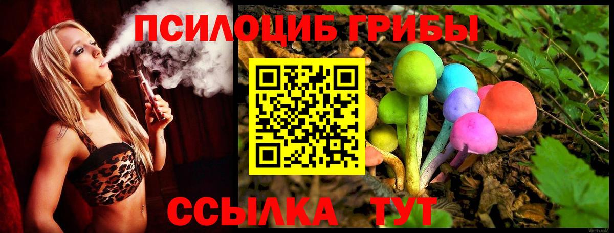 Галлюциногенные грибы Psilocybe Торжок