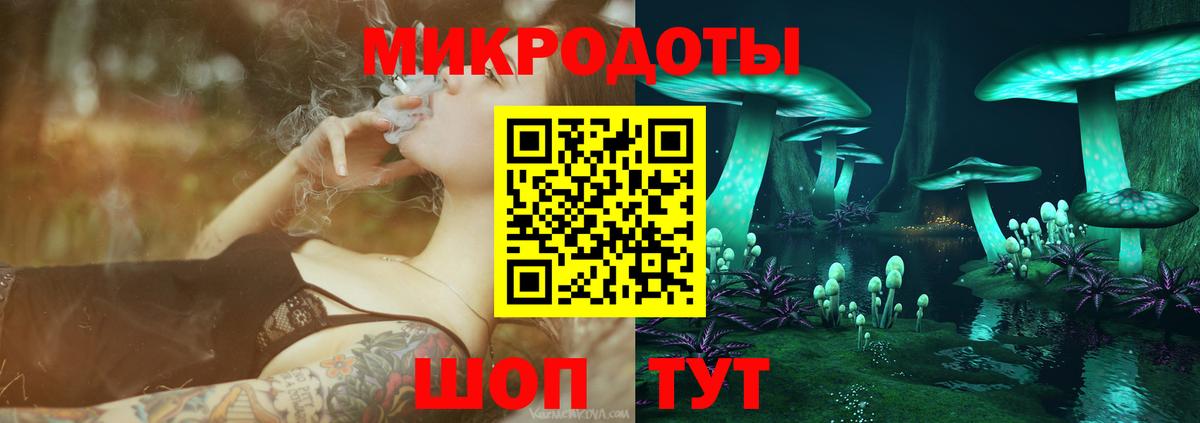 Торжок  Галлюциногенные грибы Cubensis  Вход с VPN 